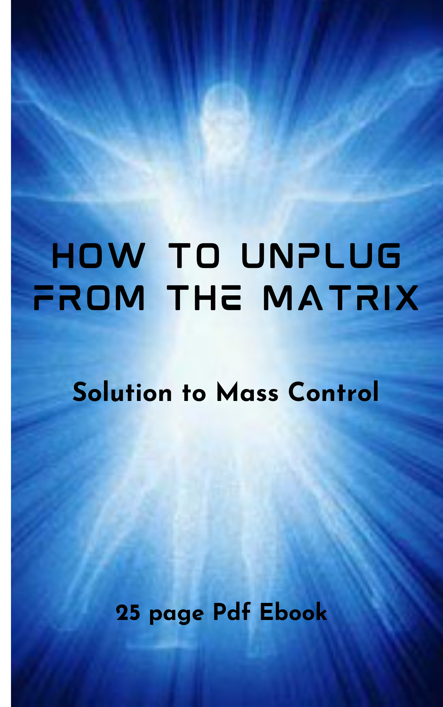 Unplug From The Matrix - 411 x 657